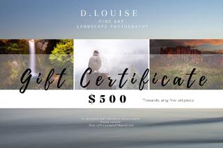 $500 Gift Certificate