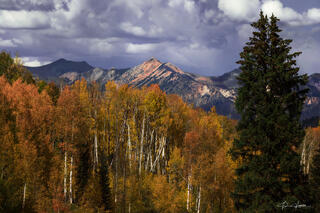 Autumn Light