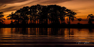 A Cypress Sunset