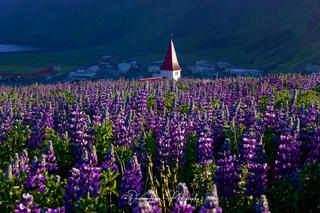 Vik Church