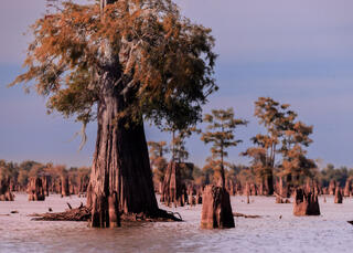 Slow River: A Photographic Journey on the Atchafalaya River Basin