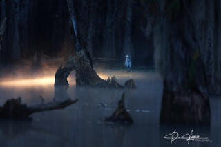 Glow on the Water