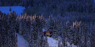 Light Dusting