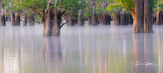 Morning Tranquility