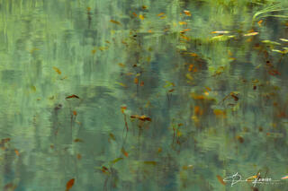 Aquatica Dreamscape