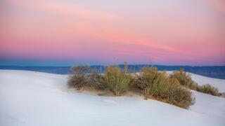 White Sands Glow