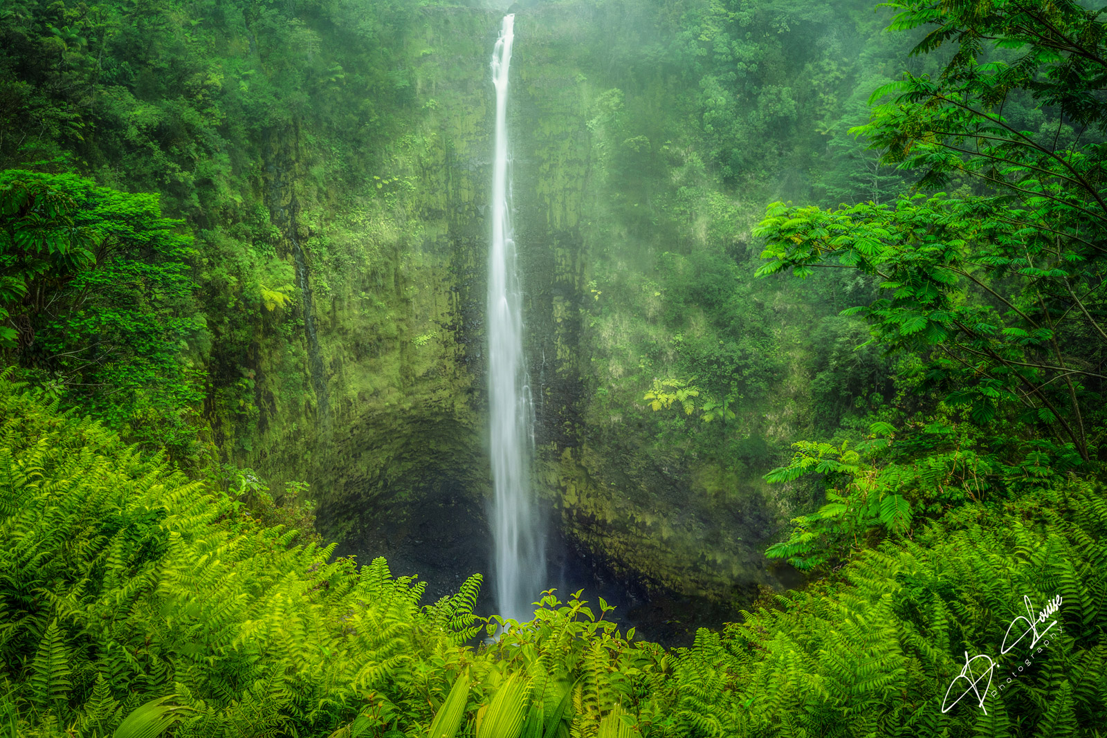 Akaka Falls Akaka in all her glory plunging 442 feet to the bottom of the cliff. The rain kept pounding the lens but we were drenched in...