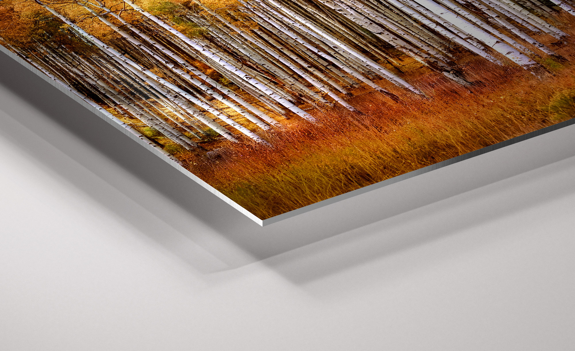 Chromaluxe Aluminum Metal Print print preview
