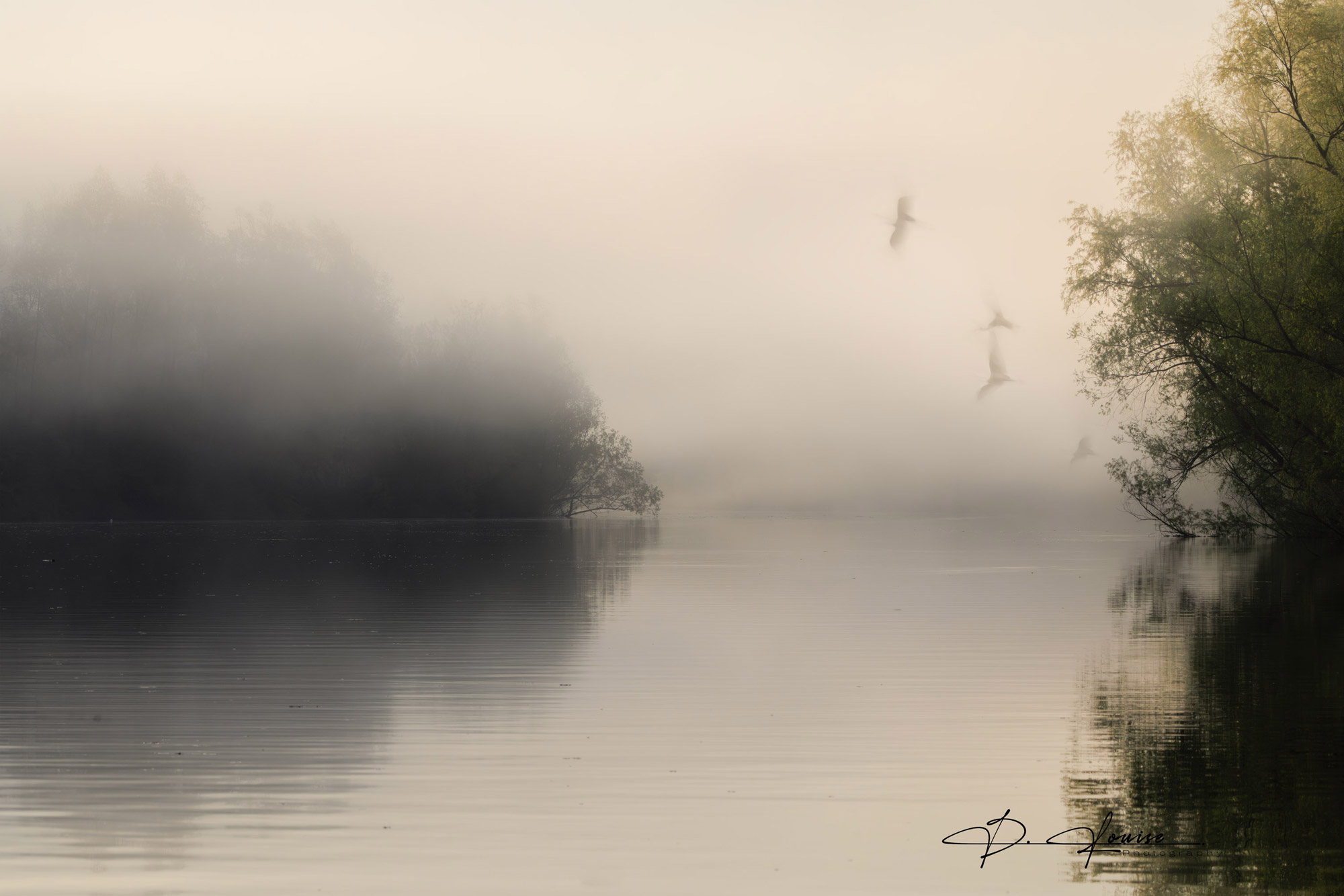 Early morning fog on the Atchafalaya River