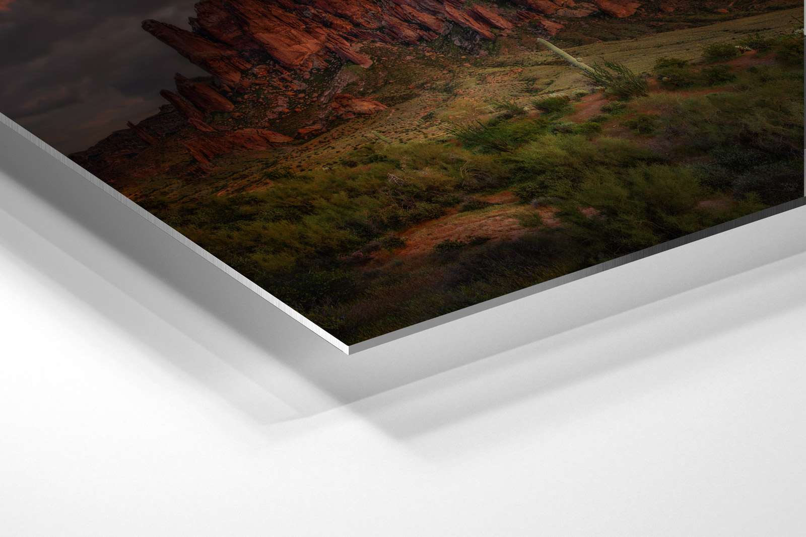 Chromaluxe Aluminum Metal Print print preview
