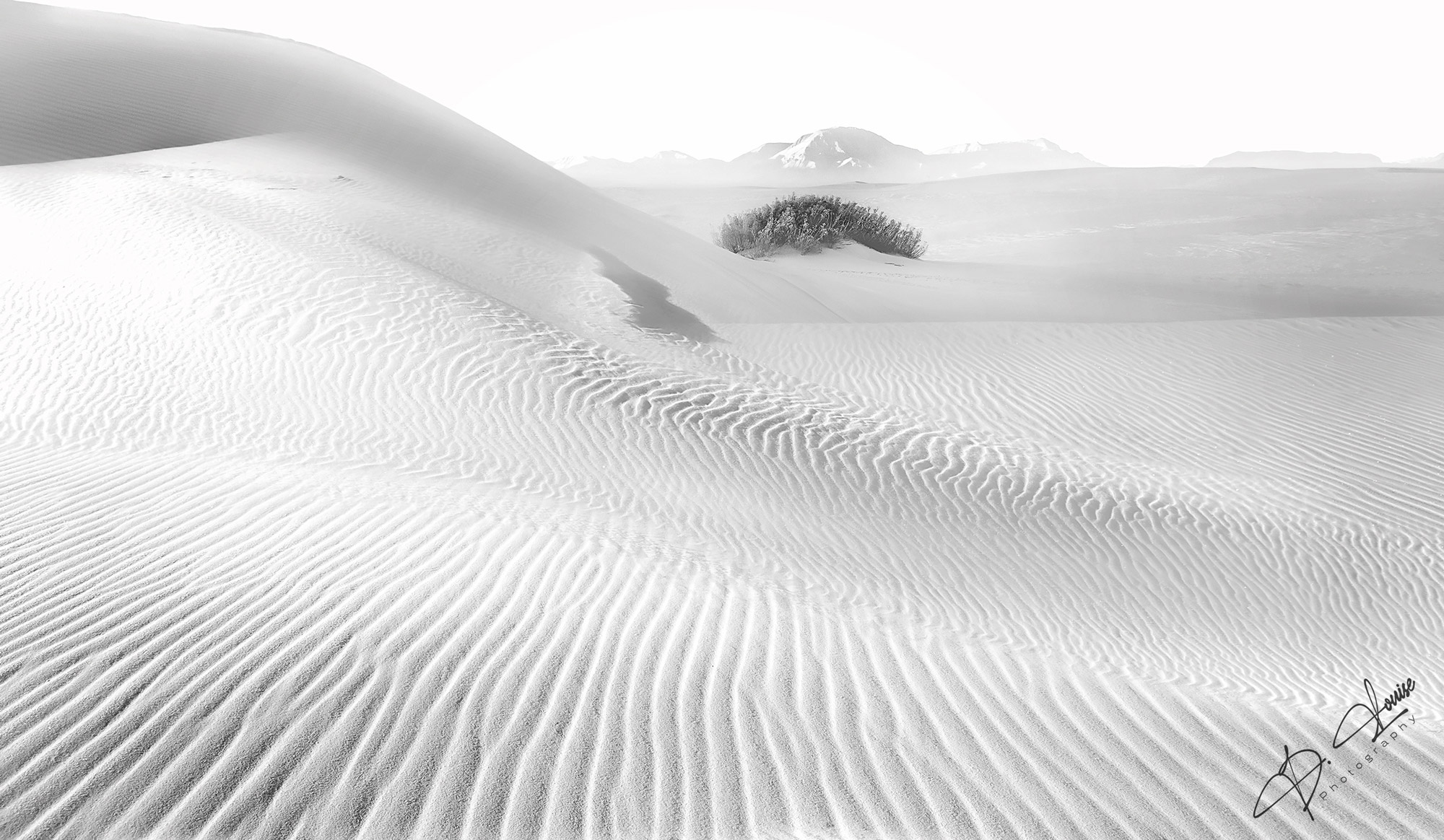 Black and White image of the brilliant white and windswept gypsum dunes of White Sands National Park in southern New Mexico....